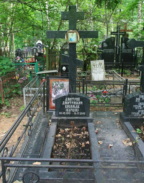 Васильев Дмитрий