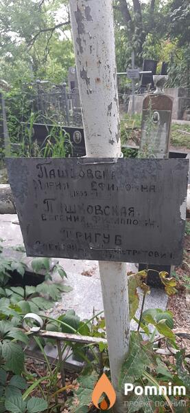 Тригуб Александр Калистратович
