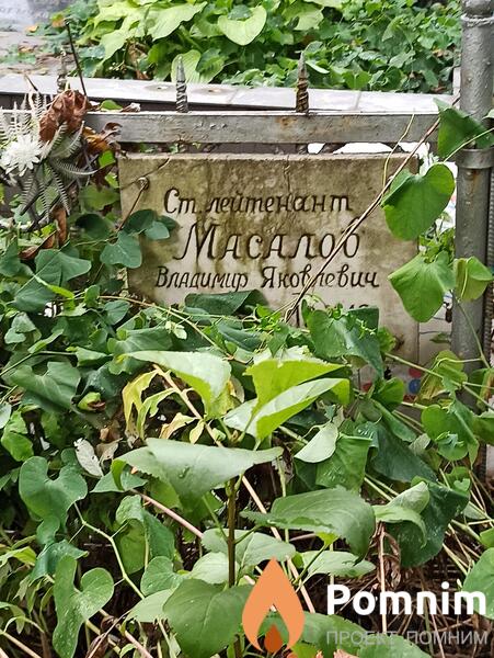 Масалов Владимир Яковлевич