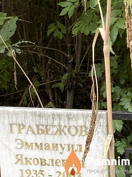 Грабежов Эммануил Яковлевич