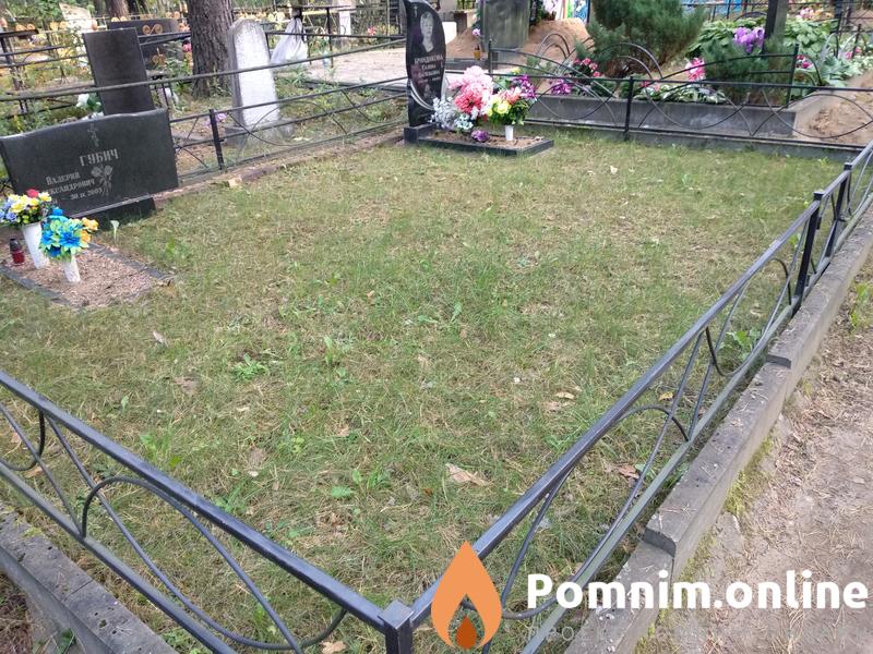Григорович Владимир Владимирович