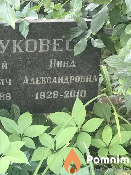 Круковес Нина Александровна