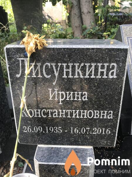 Лисункина Ирина Константиновна