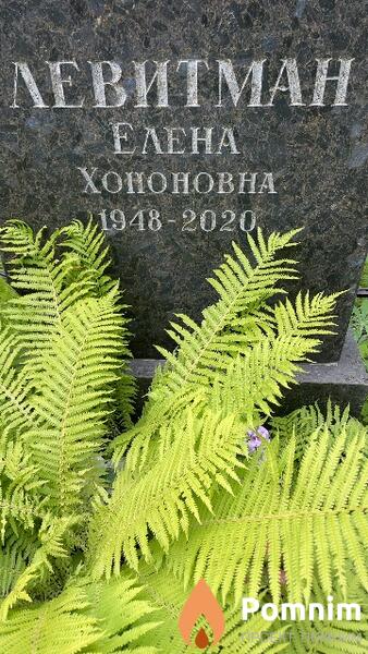 Левитман Елена Хононовна