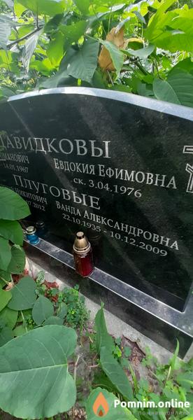 Плуговая Ванда Александровна