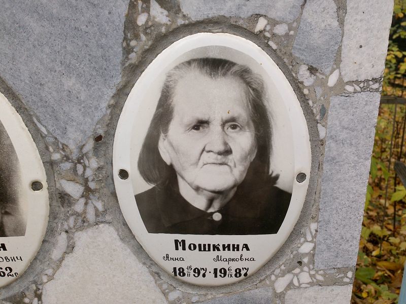 Мошкина