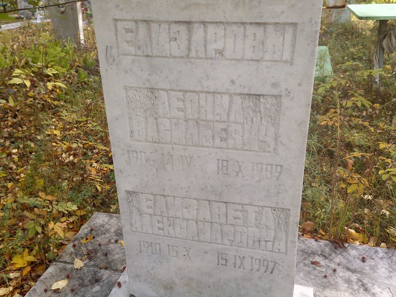 Елизарова