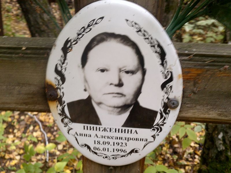 Пинженина