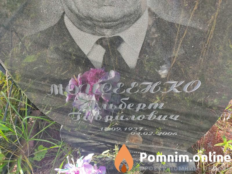 Моисеенко Альберт Гаврилович