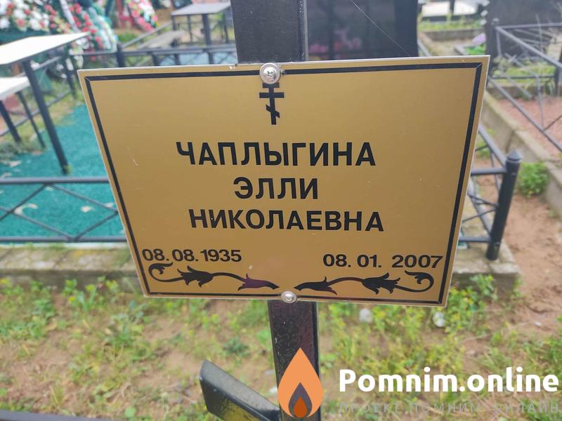 Чаплыгина Элли Николаевна