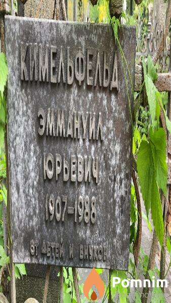 Кимельфельд Эмануил Юрьевич