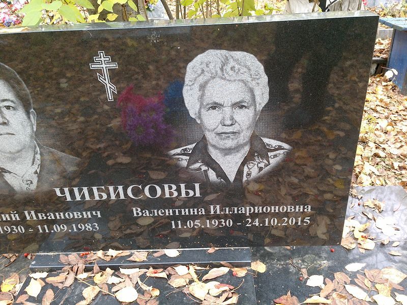 Чибисова