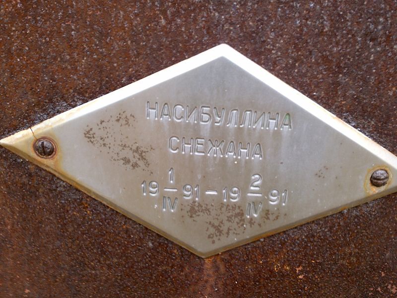 Снежана Насибуллина