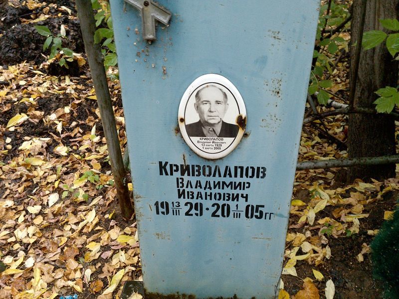 Криволапов