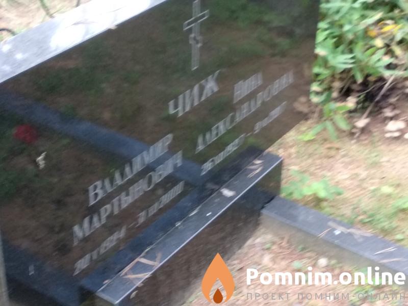Чиж Владимир Мартынович