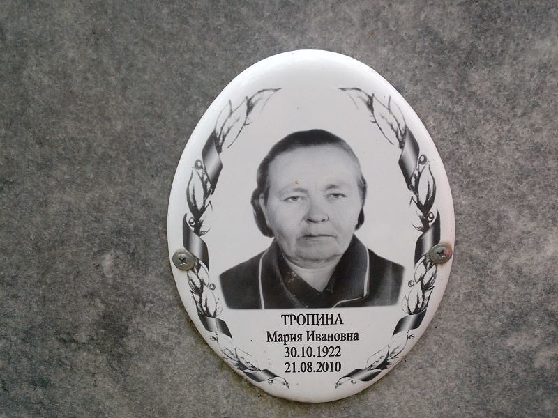 Тропина