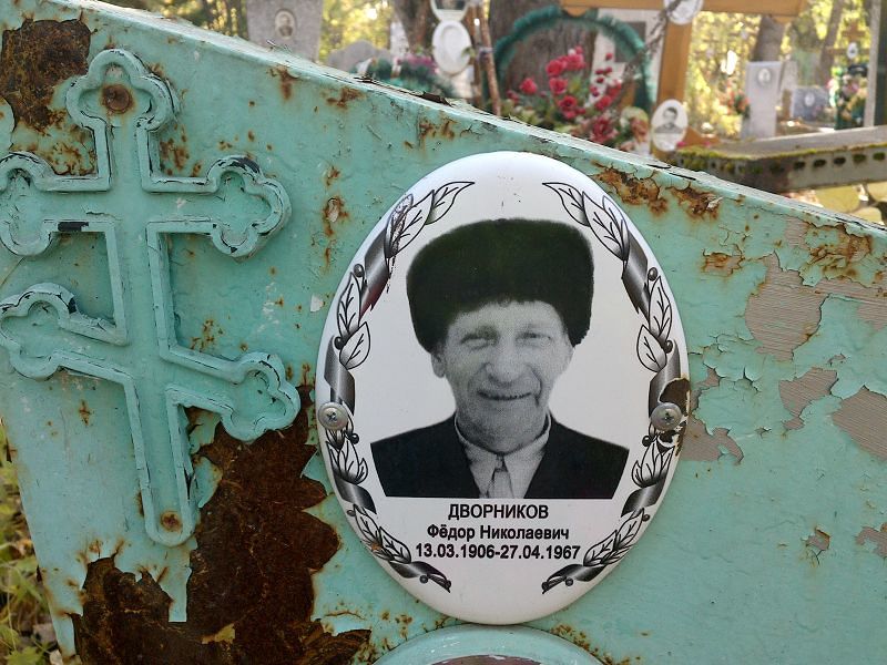 Дворников