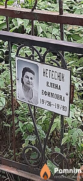 Нетесюк Елена Ефимовна