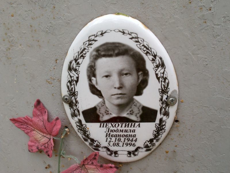 Пехотина