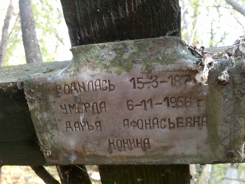 Кокина