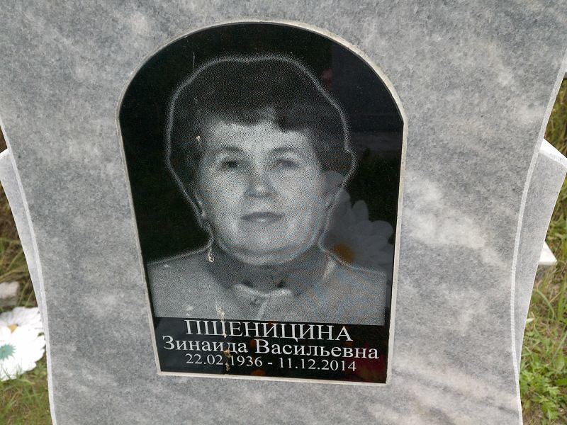 Пшеницина