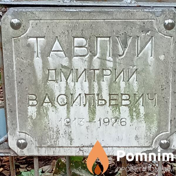 Тавлуй Дмитрий Васильевич