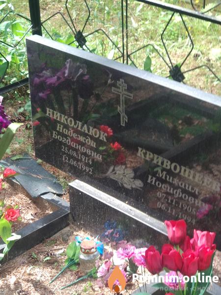 Николаюк Надежда Богдановна