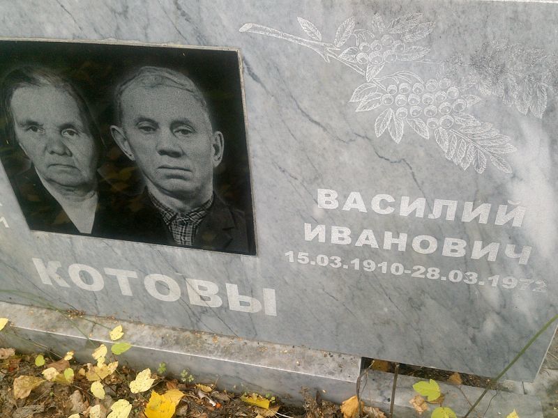 Котов