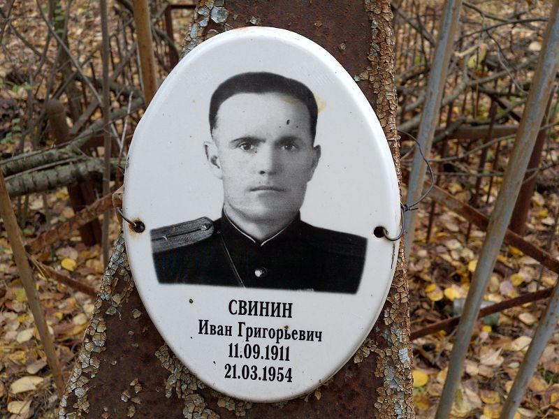 Свинин