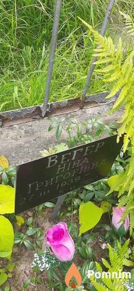 Вегер Hина Григорьевна