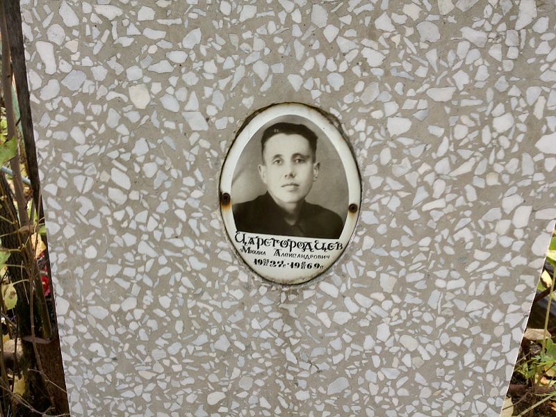 Царегородцев
