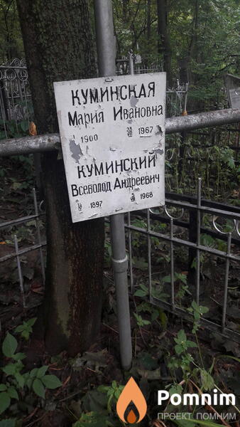 Куминский Всеволод Андреевич