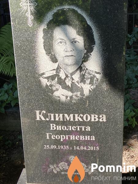 Климкова Виолетта Георгиевна