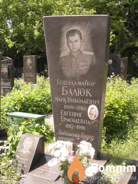 Балюк Евгения Ермолаевна