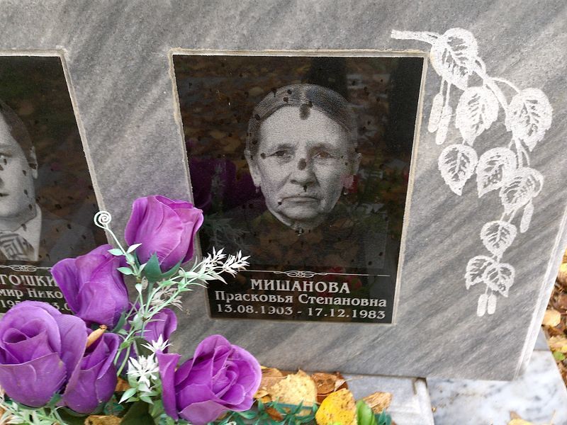 Мишанова Прасковья Степановна