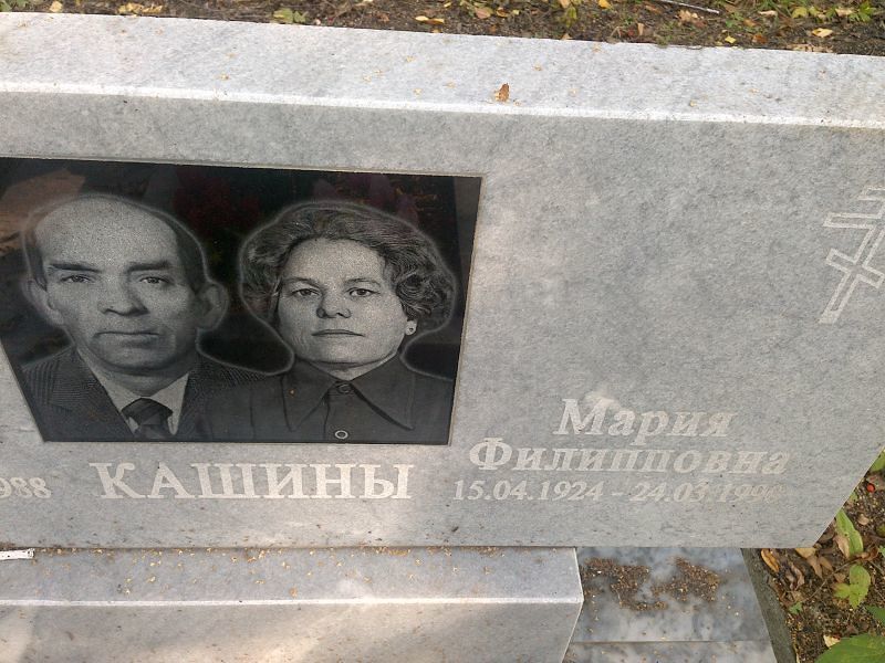 Кашина