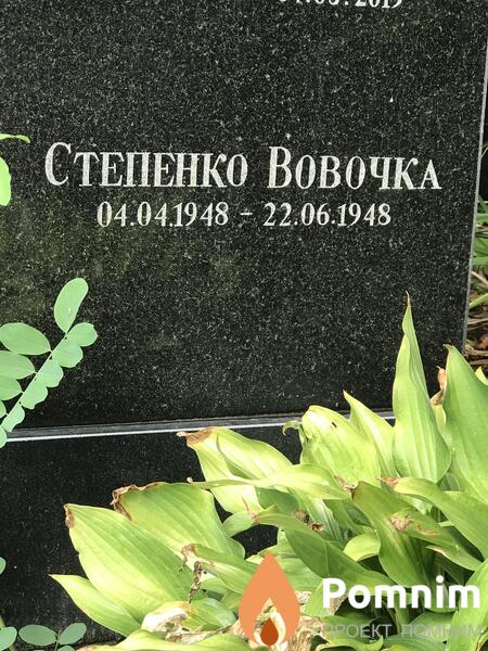 Степенко Вова