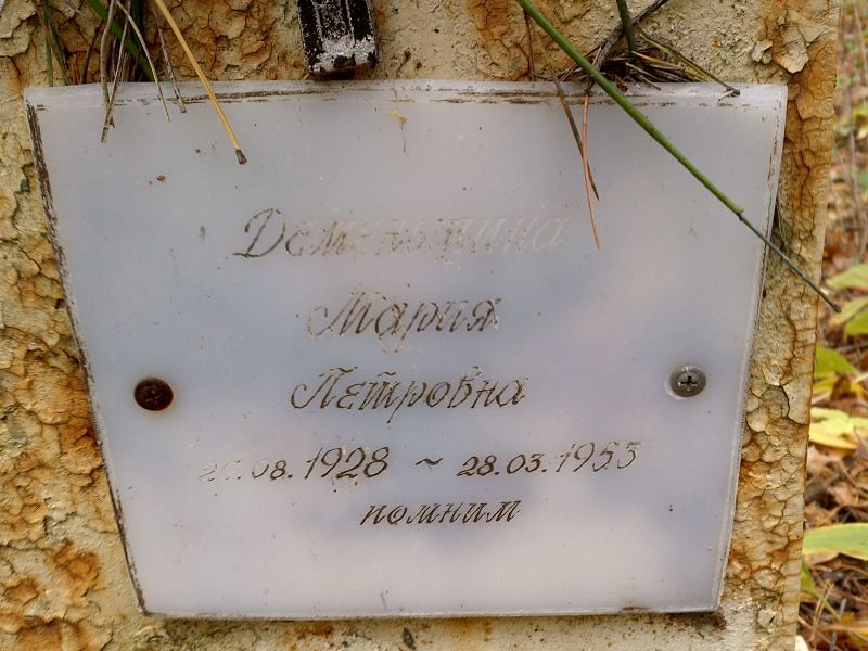 Деменьшина