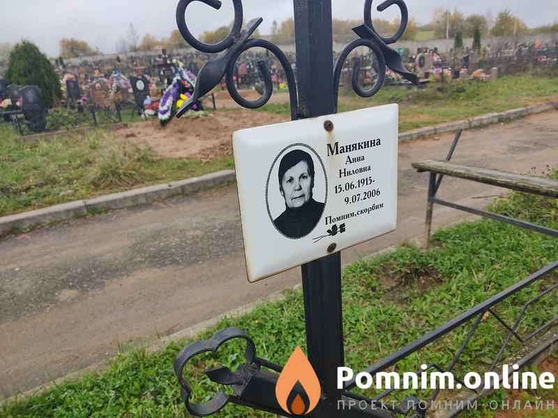 Манякина Анна Ниловна