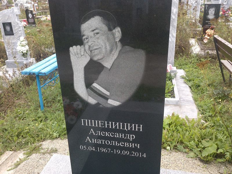 Пшеницин