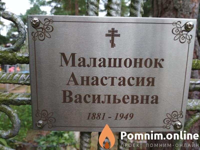 Малашонок Анастасия Васильевна