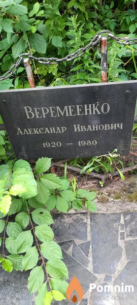 Веремеенко Александр Иванович