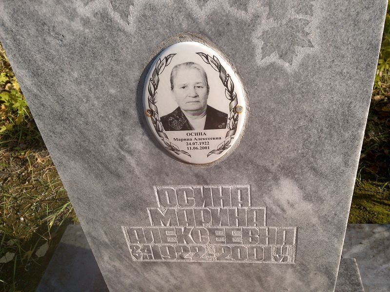 Осина