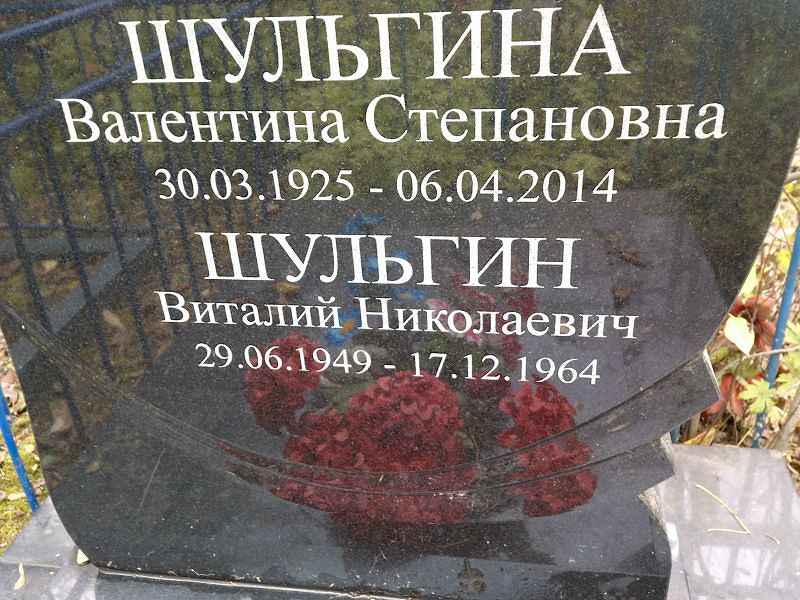 Шульгин