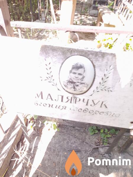 Малярчук Евгения Федоровна