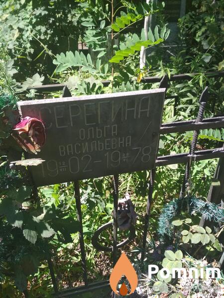 Серегина Ольга Васильевна