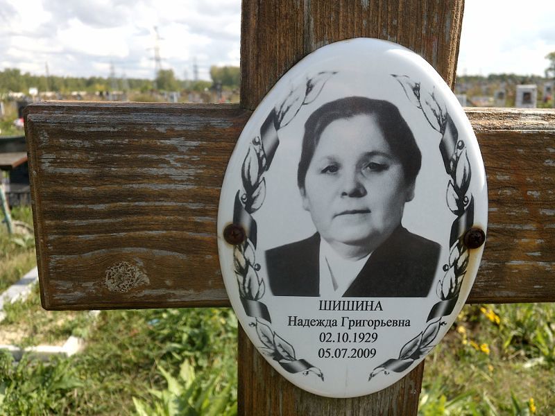 Шишина