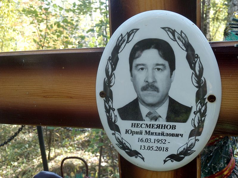 Несмеянов