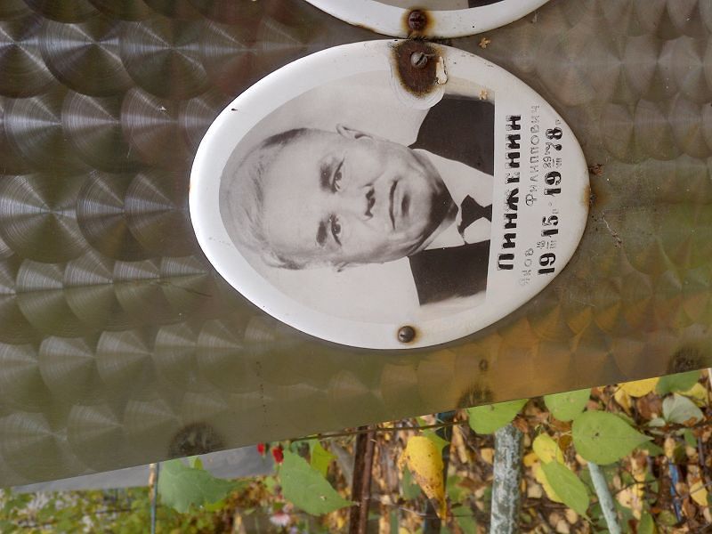 Пинженин