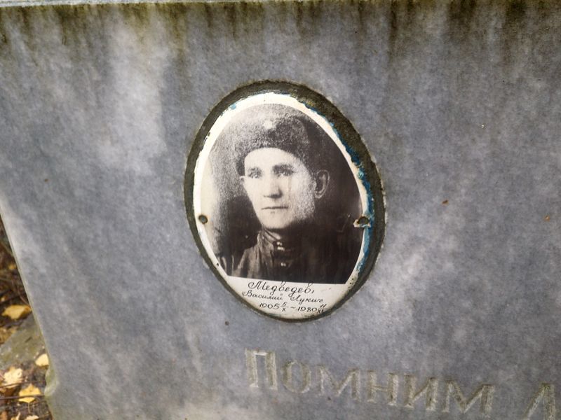 Медведев